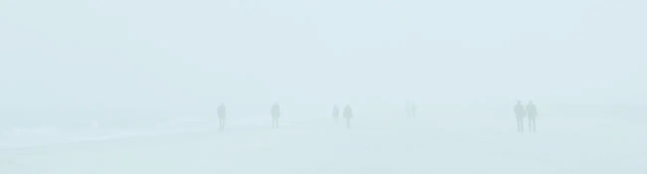 contact