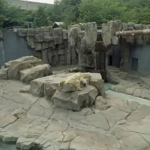 Zoo